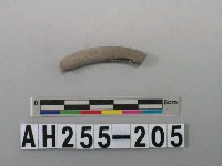 藏品(灰色泥質陶環殘件)的圖片